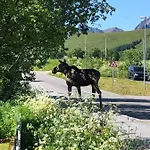 Relaxing * Gravdal
