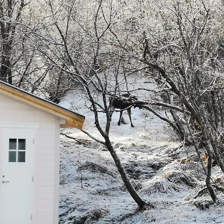 Lodge Relaxing Cabin Gravdal (Vestvagoy)