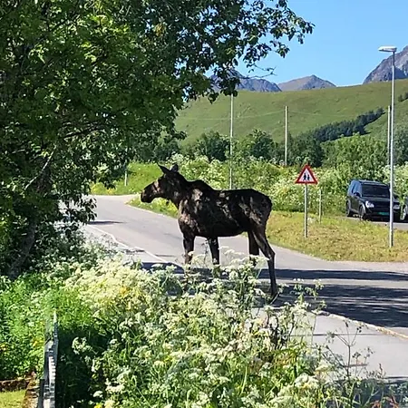 Relaxing * Gravdal